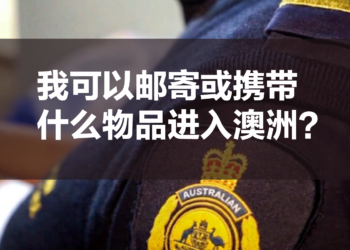 我可以邮寄或者携带什么物品进入澳洲?